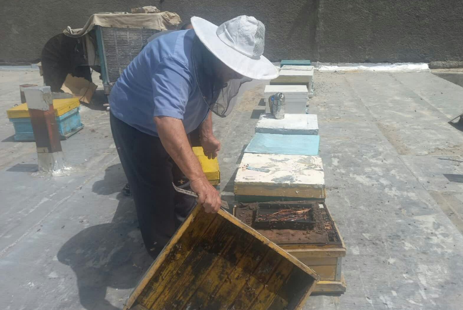 عسل شکوری برترین و نخستین تولید کننده عسل در لرستان است / نیش زنبور هم مانند عسل خاصیت شفابخشی دارد/ ارسال عسل به سراسر کشور داریم