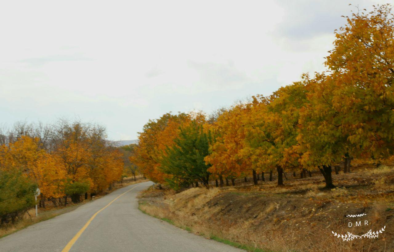 طبیعت زیبای پاییزی همدان 97/ داوود مدبر