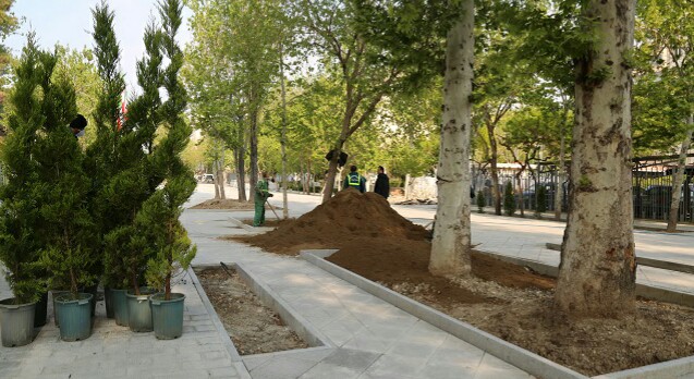 فضای سبز پیاده راه شهریار تا هفته آینده تکمیل می شود