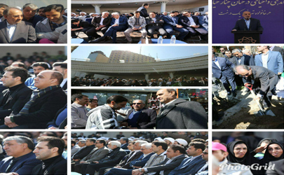 ساماندهی و احیای درختان چنار خیابان ولیعصر(عج)