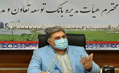 بانک توسعه تعاون قابلیت‌های مناسبی برای پیشبرد اهداف راهبردی دولت دارد