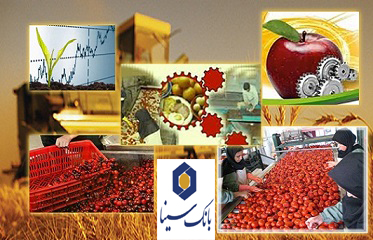 تصویب بیش از 10 هزار میلیارد ریال اعتبار در بانک سینا برای طرح های اشتغالزایی روستایی