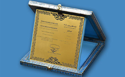تقدیراز پروژه سراسرنمای مقاومت شرکت توسعه فضاهای فرهنگی شهرداری تهران 