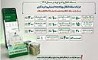 جزییات افزایش سقف تراکنش های بانک توسعه صادرات ایران در سال 1405