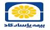 بیمه پاسارگاد، رتبه های تک رقمی، رشدهای دو رقمی