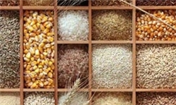 افزایش 58 درصدی شاخص قیمت میوه و آجیل در بهار 94