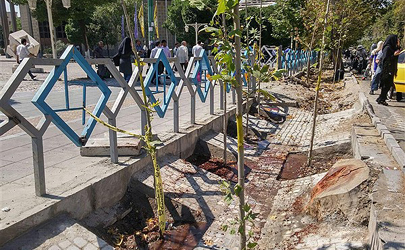 مشاوره گل و گیاه درخیابان ولی عصر(عج)/ کاشت نهال چنار ، افرا و اقاقیا در خیابان ها