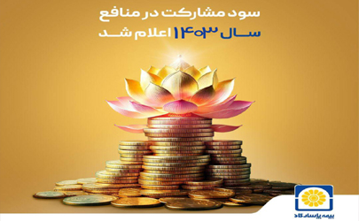 سود مشارکت در منافع سال ۱۴۰۳ بیمه پاسارگاد اعلام شد 