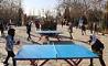 اولین دوره مسابقات تنیس روی میز پارکی به میزبانی شهرداری منطقه ۱۱ برگزارشد 