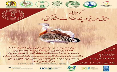 معرفی میش مرغ، پرنده رو به انقراض در موزه دارآباد 