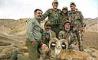 شکار دو رأس «قوچ اوریال» نیشابور با پرداخت 10 هزار دلار توسط دو شکارچی آمریکایی 