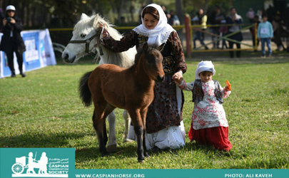 دو‌ نماینده ایران برای نخستین بار موفق به کسب کرسی در هیات مدیره انجمن بین المللی اسب کاسپین شدند