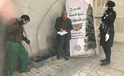 کاشت نهال در حیاط منازل شهروندان منطقه 15