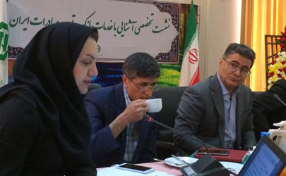 راهکارهای تامین ارز مورد نیاز تولید