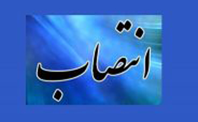 مدیرعامل شرکت کار و تامین منصوب شد