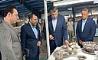بازدید مدیران ارشد بانک توسعه صادرات ایران از شرکت کلور