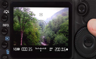 تعداد عکس های رسیده به نمایشگاه «ثبت جهانی جنگل های هیرکانی» اعلام شد