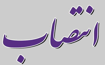 انتصاب ۸ مدیر مالی در دستگاه‌های دولتی