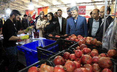 برگزاری نخستین «جشنواره انار» همزمان با نمایشگاه شب یلدا در غرب تهران