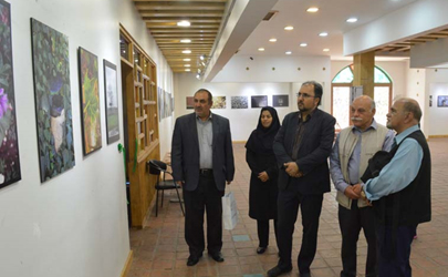 نمایشگاه عکس هنرجویان هنرستان هنرهای زیبای پسران در نگارخانه رسول مهر