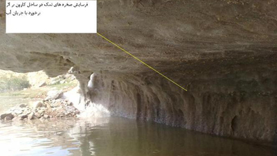 نابودی ۴۰۰ هزار نخل به دلیل شوری آب سد گتوند