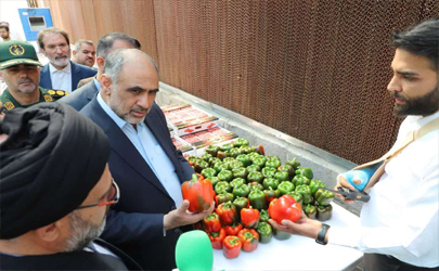 گلخانه هیدروپونیک زاگرس قم با حضور وزیر جهاد کشاورزی افتتاح شد 