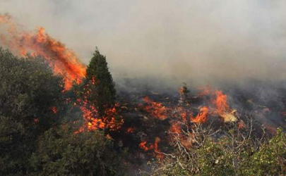 جزئیات آتش سوزی در منطقه حفاظت شده «سیوک» و«هفت برارون» بویراحمد
