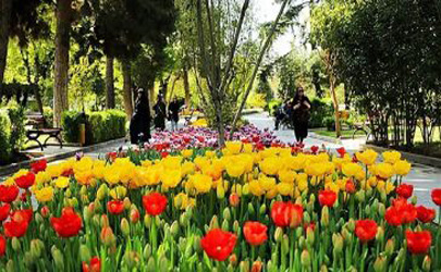 تجهیز بوستانهای منطقه 15در آستانه فصل تابستان