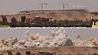 انفجارورزشگاه المپیک عراق توسط داعش+تصویر