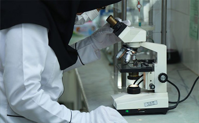 چگونه تضمین کیفیت با حمایت کل اعضای سازمان امکان‌پذیر است؟