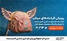 مسیر تازه نیکوکاری برای بازسازی مدارس آسیب‌دیده با باشگاه مشتریان همراه اول 