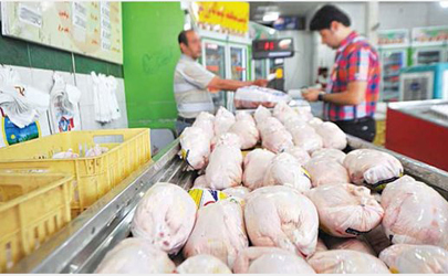 فروش مرغ دولتی در استان‌های مسافرپذیر/ مرغ گرم کیلویی  11500 تومان/ مرغ منجمد کیلویی 10500