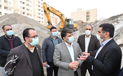 درختان معابر شهری برای بارش های زمستانی آماده می شوند