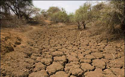 افزایش 11 برابری خشکسالی در ایران