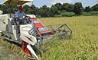 مکانیزه شدن کاشت و برداشت برنج در شمال کشور با حمایت بانک کشاورزی
