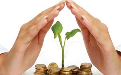 ضرورت تشکیل صندوق بیمه جهت حمایت از کسب و کارهای نوپا
