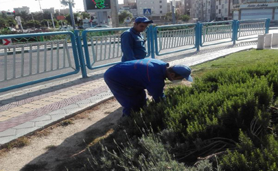 انسداد منافذ جانوران مضر شهری طی عملیات بهسازی محیط زیست در معابر جنوب شهر انجام شد 