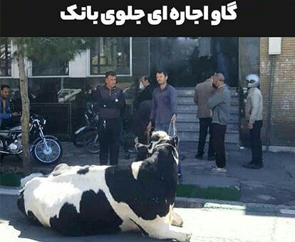  توضیح بانک ملی ایران درباره تقاضای تسویه بدهی یک فرد با گاو