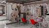پلمب 47 آرایشگاه زنانه توسط تعزیرات حکومتی