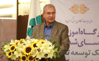 بانک توسعه تعاون در افزایش مقاومت اجتماعی نقش‌آفرین باشد 