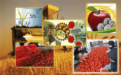 پرداخت بیش از ۲۲ هزار و ۲۵۰ فقره تسهیلات قرض الحسنه برای اشتغال روستایيان