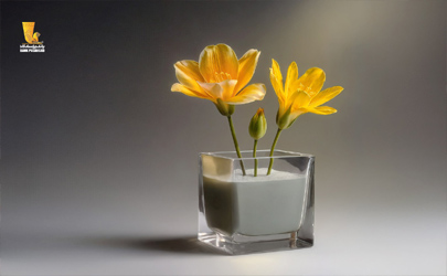 عملکردی فراتر از تعهدات؛ تحقق 104 درصدی سهمیه تسهیلات ازدواج در بانک پاسارگاد تا پایان آذرماه 1404 