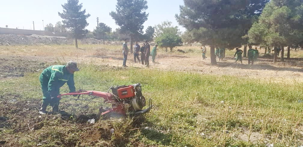عملیات گسترده به زراعی در راستای نگهداشت فضای سبز منطقه 19 آغاز شد