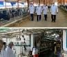 افزایش ۲۰ درصدی تولید شیرخام در کشت و صنعت سلماس