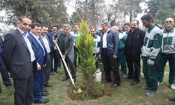 مدیرعامل شرکت سهامی نمایشگاه های بین المللی یک اصله نهال غرس کرد