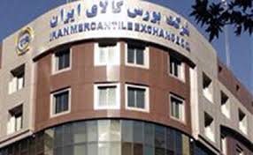 فروش یک هزار تن جو دامی در قالب طرح قیمت تضمینی در بورس کالای ایران 